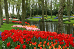 Cheekwood-Botanical Garden